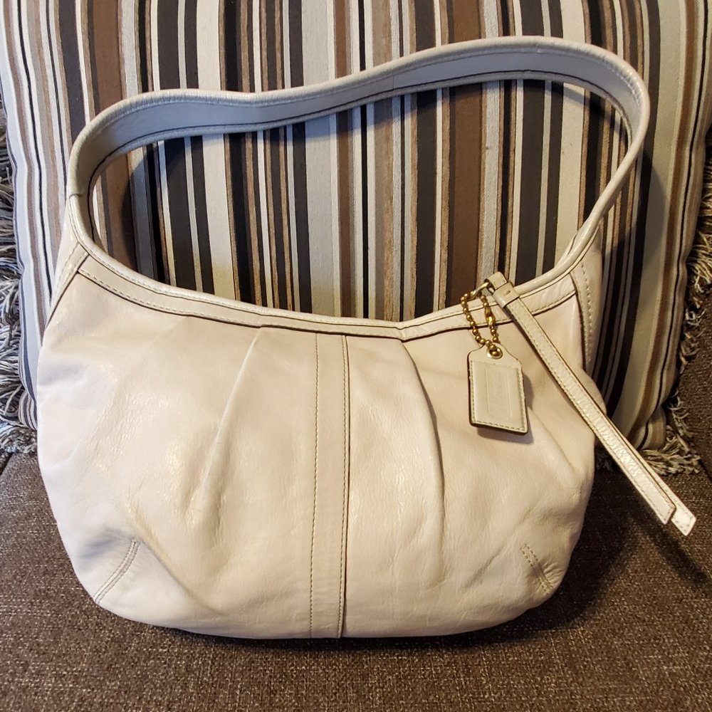 Coach Ergo Pleated Hobo Bag